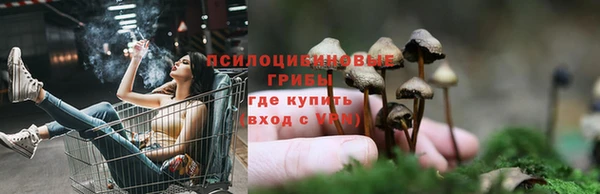 ALPHA-PVP Володарск