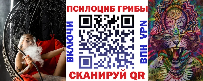 наркошоп  Чебоксары  Псилоцибиновые грибы MAGIC MUSHROOMS 
